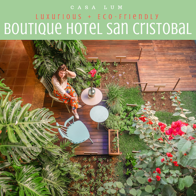 Boutique Hotel San Cristobal Chiapas Luxurious Eco Friendly Casa Lum