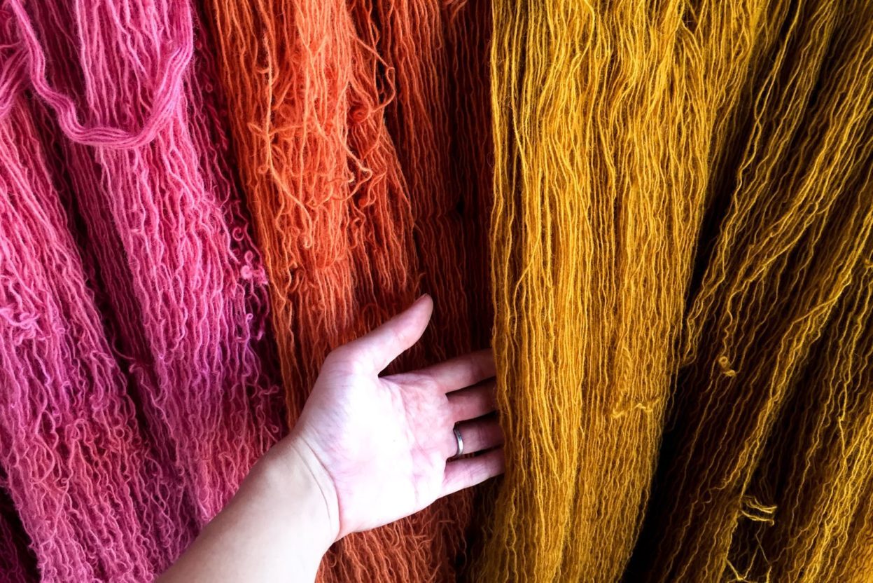 natural dyes in oaxaca