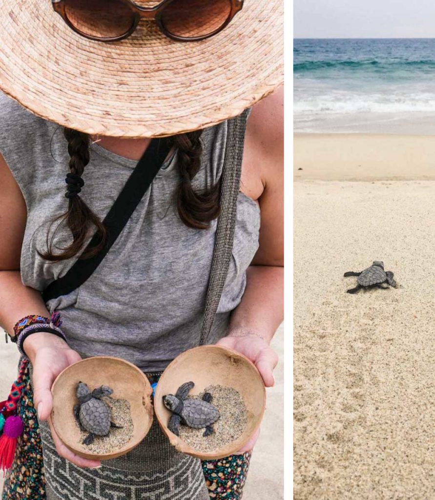 1 Week Coastal Oaxaca Itinerary to the Best Oaxaca Beaches: Travel ...