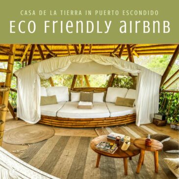eco friendly airbnb in puerto escondido casa de la tierra (Insta
