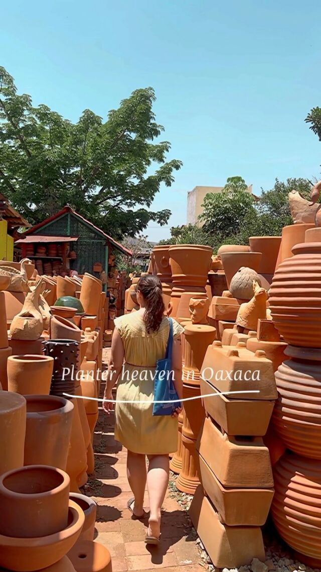 Oaxaca Terracotta Planters